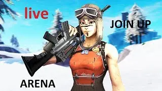 playing fortnite Arena on PC