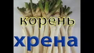 Копеечное средство от болей в спине. Миозит.Воспаление мышцы