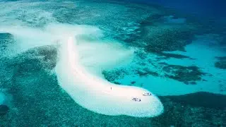 Tasmania to Cape York - A Fly Fisherman's journey (2020)