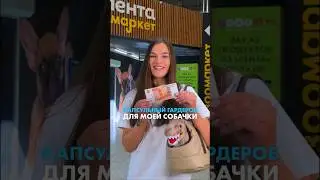 Лук для собачки за 5000₽💰