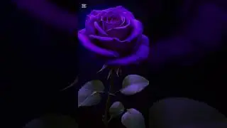 Кутманду танынар менен