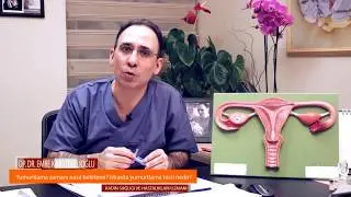 Yumurtlama Zamanı Nasıl Belirlenir? - Op. Dr. Emre Karatekelioğlu