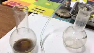 🟢  لأول مرة شاهد تعكر رائق الكلس 😅 تجربة الكشف عن CO2🔥