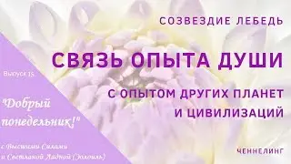 Связь опыта Души с опытом других планет и цивилизаций. Ченнелинг. Созвездие Лебедь