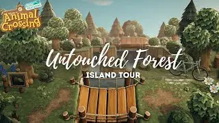 Untouched Forest Island Tour | Animal Crossing New Horizons