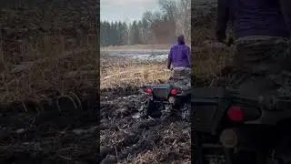 Good sudden stop!