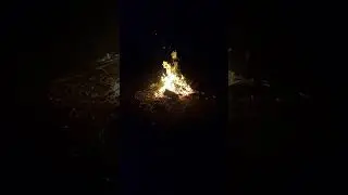 Завораживающее пламя огня