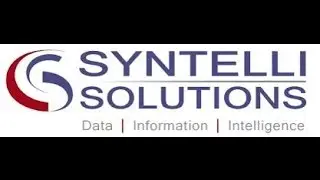 Syntelli Solutions and the Digital Revolution