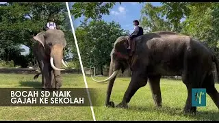 Beda dari yang Lain, Bocah Thailand ke Sekolah Naik Gajah