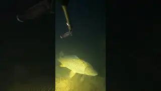 Подводная охота в Дагестане