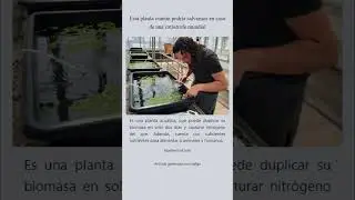 Noticias 137 - #carne #impresa #3D #planta #salvarnos #catástrofe #mundial #foca #cachorro #heroismo