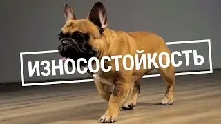 Износостойкость кварц-винила Fine Floor