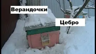Верандочки Цебро от синиц и не только.