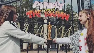 Захват МАДИ / Пинки и Брейн