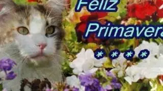 FOTOS DE PRIMAVERA FELIPE GARCIA