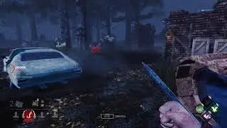 Default gameplay by pig
