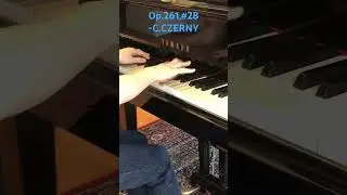 🎹Need the exercise?▶️#28, 125 Exercises in passage-playing, Op.261 - C.Czerny #shorts#piano#etude