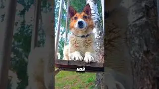 🥺❤
