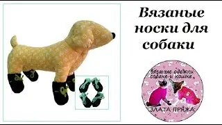 20. Knitted socks for dogs