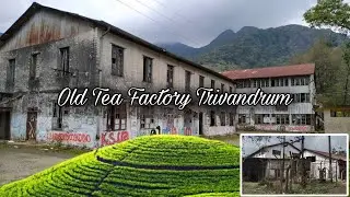 Bonacadu | Old Tea Factory Trivandrum
