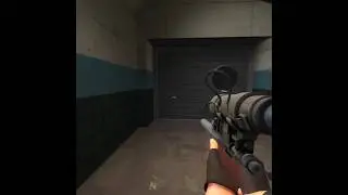 This Sniper Only Had One Job