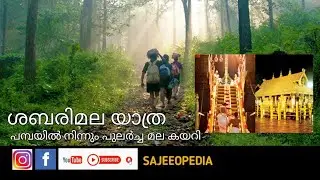 ശബരിമല യാത്ര #sabarimala #malikapuram  @SABARIMALAAYYAPPAN @ayyappath1