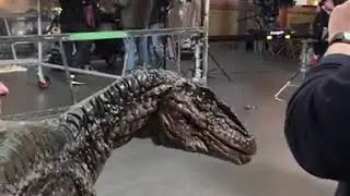 Jurassic Park Raptor on set  CreatureEvents.com