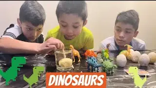 Cracking Fossilized Dino Eggs | Educational | Learning about Dinosaurs| J BROTHERS