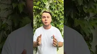 Mulțumesc, Bacolux Koralia!