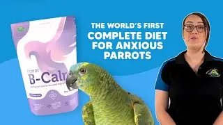The World's First Calming Parrot Diet!