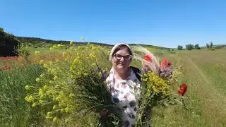 ТРІЙЦЯ або ЗЕЛЕНІ СВЯТА. Старовинні традиції і звичаї. Лікувальні властивості трав.