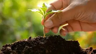 🧑‍🌾 KAHRAMAN ÇİFTÇİLERİMİZ İÇİN ÇALIŞIYORUZ