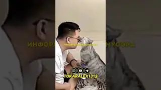 Телефон заберет у тебя все - МУДРОСТЬ