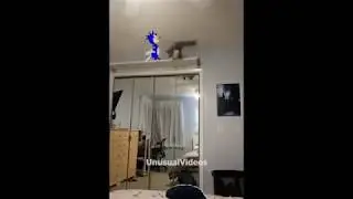 Unusual Meme COMPILATION!!
