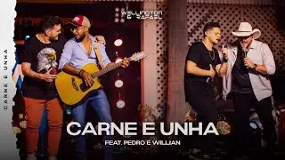 Wellington & Rafael - Carne e Unha Part. Pedro & Willian | DVD Carne e Unha