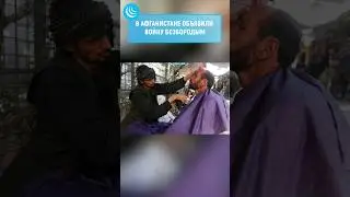 ❌ВОЙНА БРИТЫМ #мирадио #новости #news #beard #afghanistan #islam #muslim #taliban #барбершоп