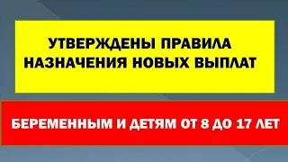 НОВЫЕ ВЫПЛАТЫ НА ДЕТЕЙ с 8 до 16 лет И БЕРЕМЕННЫМ ЖЕНЩИНАМ УТВЕРЖДЕНЫ ПРАВИЛА НАЗНАЧЕНИЯ!!!