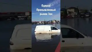 Дожди наделали беды в Одессе! 🙁