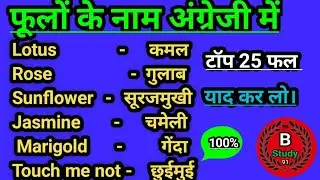 फूलों के नाम अंग्रेजी में/ flowers name in English/flower ka naam English mein/ B Study 91/ b study