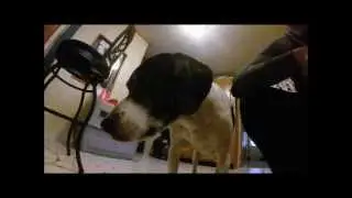 GoPro Hero 3+ Silver Edition Test
