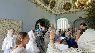 Милость мира, арх. Никифора Детско-юношеский хор "Серафим"
