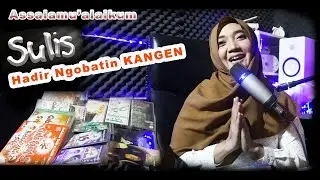 Awal Perjalanan Karir Sulis