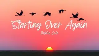 Natalie Cole - Starting Over Again (Lyrics)