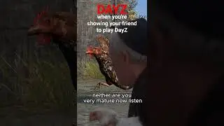 DAYZ CHICKEN 🐔