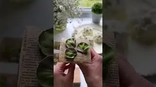 Как сделать ЛИСТ ЭВКАЛИПТА из Зефира от @samarina_dessert🍃 Eucalyptus leaf from Zephyr