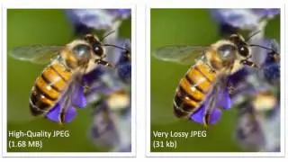 week 1 image formats