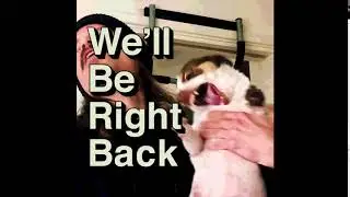Mr.Bubz Goes HAM!