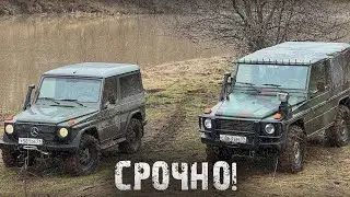 ЭТО ОН ! НАЙДЕН ТОТ САМЫЙ ГЕЛИК ! СРОЧНО ! Паша Пэл
