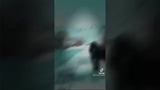 БРАТВУ НА ТЁЛОК НЕ МЕНЯЕМ