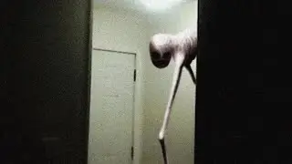 even worse skinwalker 'sightings'